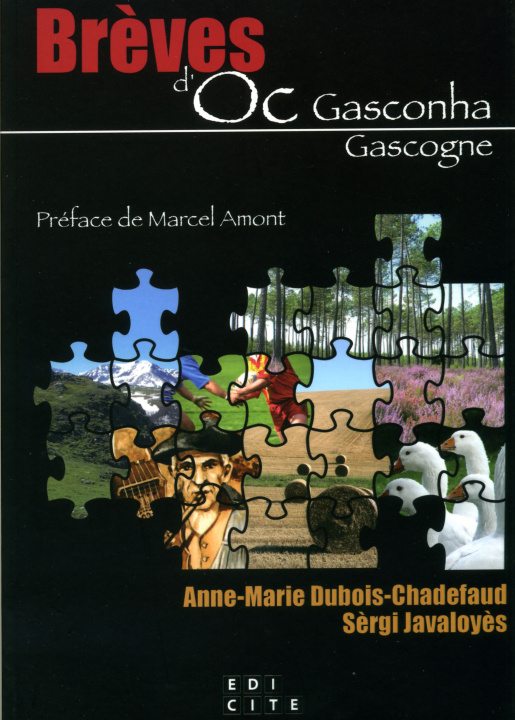 Kniha Brèves d'Oc - Gasconha Gascogne Dubois-Chadefaud