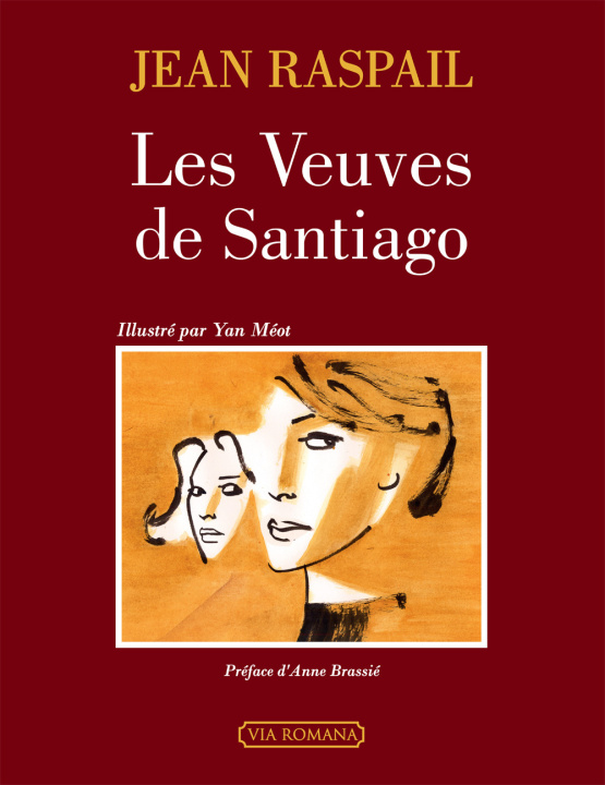 Βιβλίο Les veuves de Santiago RASPAIL