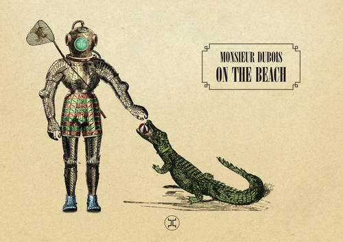 Boek On the beach Denis Dubois