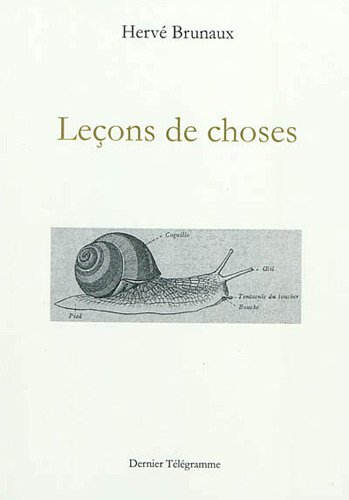 Buch Leçons de choses Brunaux