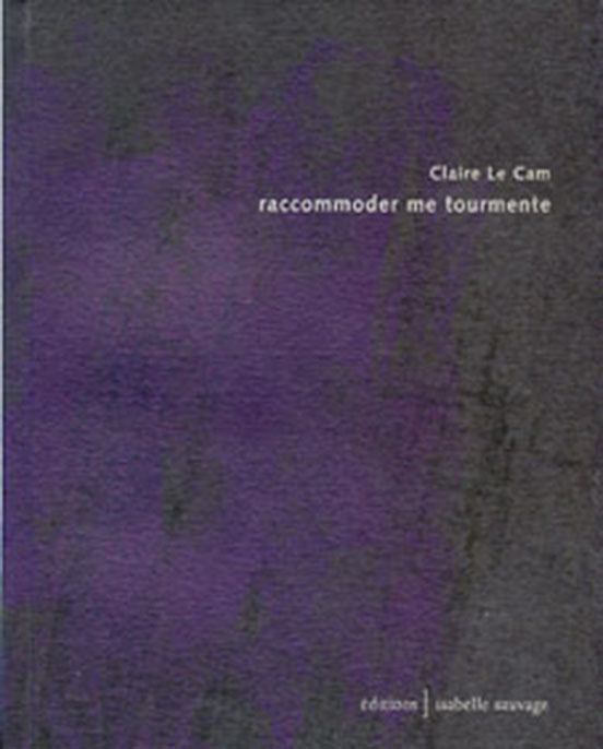 Livre Raccommoder me tourmente Cam