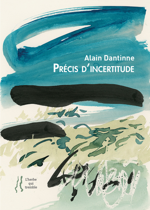 Knjiga Précis d'incertitude Dantinne