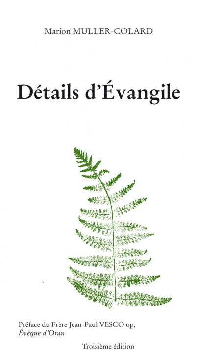 Book Détails d’Évangile (3e édition) Mario