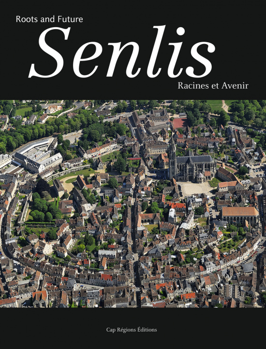 Kniha Senlis - Racines et Avenir d'auteurs