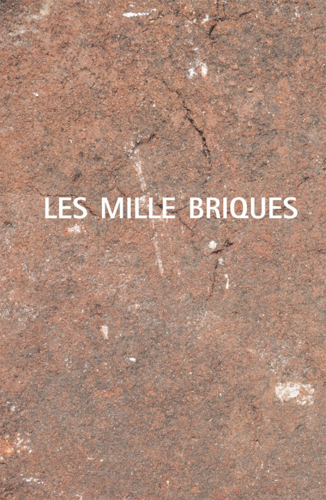 Buch Mille briques collegium