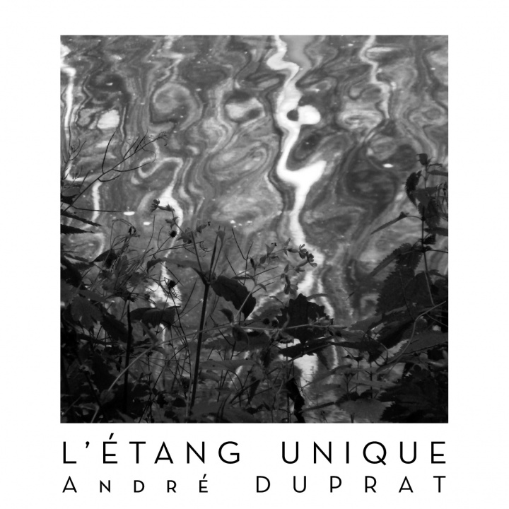 Книга L'étang unique DUPRAT