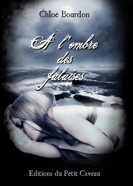 Buch A l'ombre des falaises Bourdon