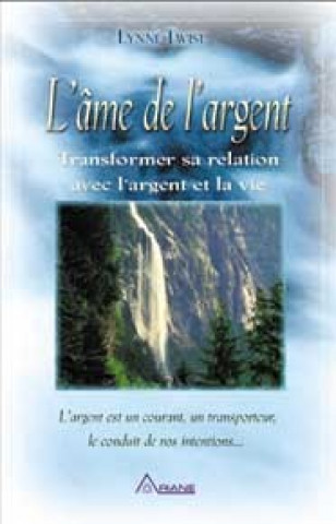 Книга Âme de l'argent Twist
