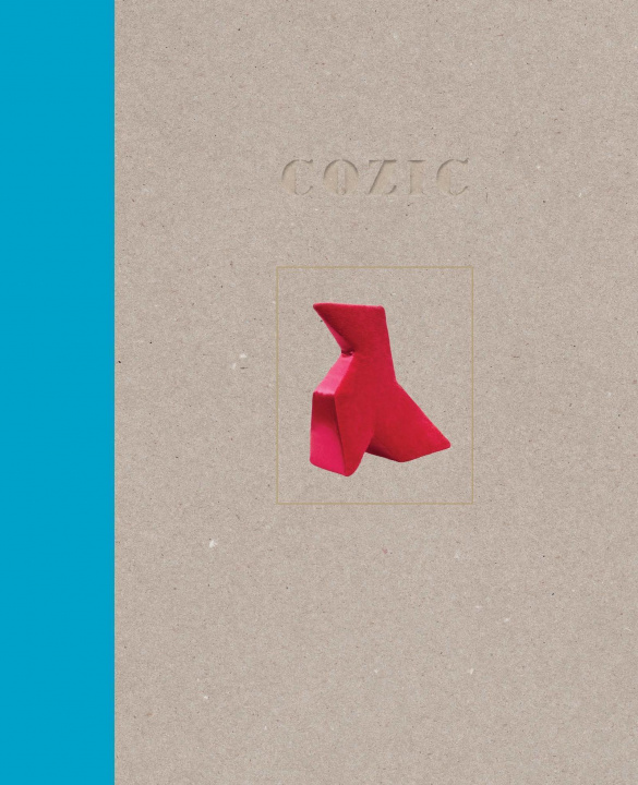 Boek Cozic Lapointe