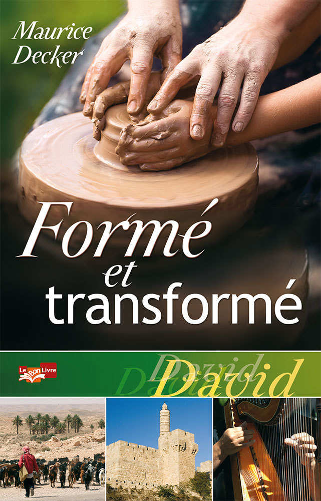 Knjiga Formé et transformé. David Maurice