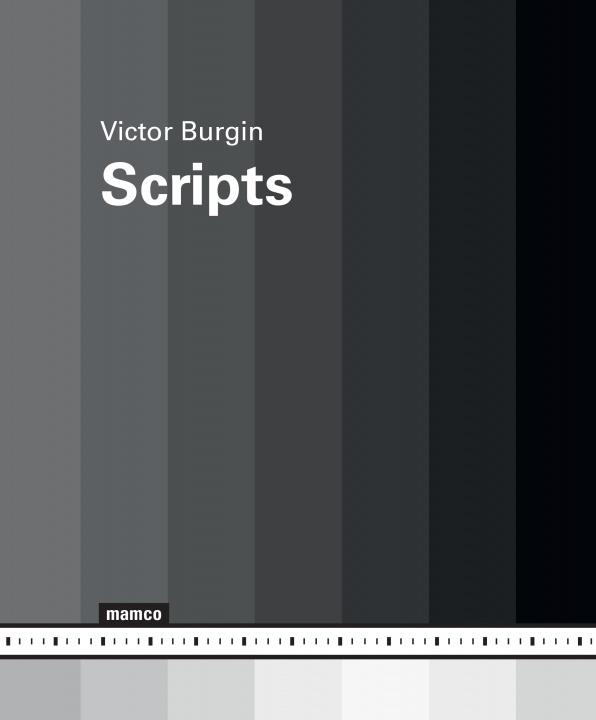 Kniha Scripts Burgin