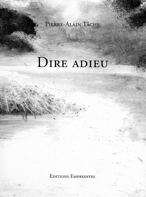 Knjiga DIRE ADIEU PIERRE ALAIN TACHE