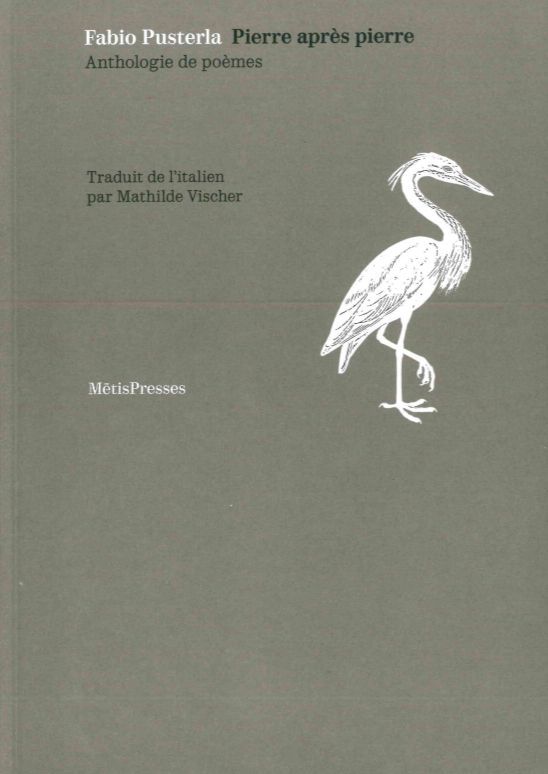 Book Pierre Après Pïerre Fabio Pusterla
