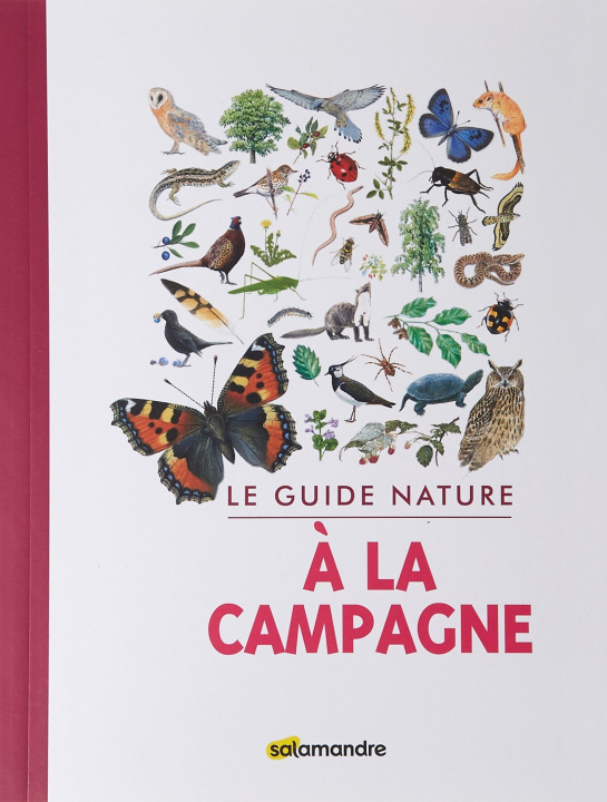 Buch Guide nature - A la campagne collegium