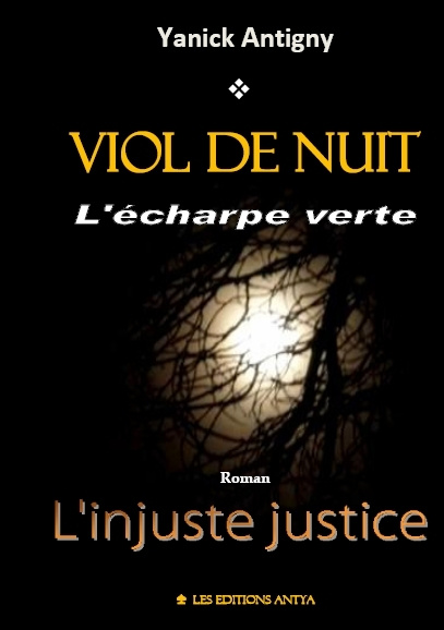 Knjiga Viol de nuit Antigny