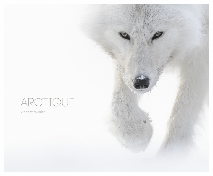 Książka Arctique 
