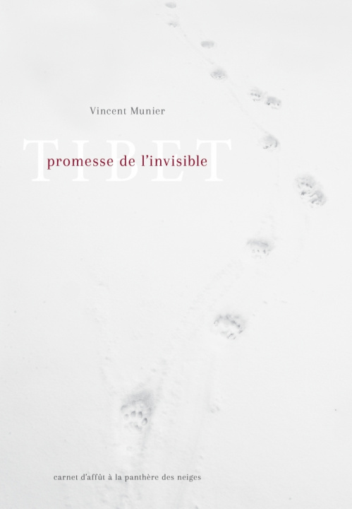 Kniha Tibet, promesse de l'invisible 