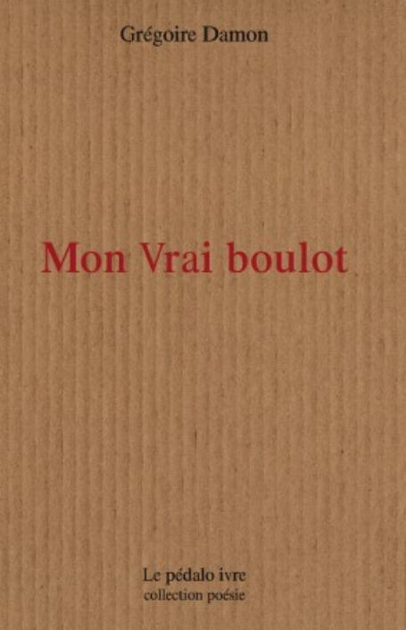 Kniha Mon vrai boulot DAMON