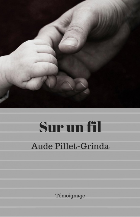 Boek Sur un fil AUDE