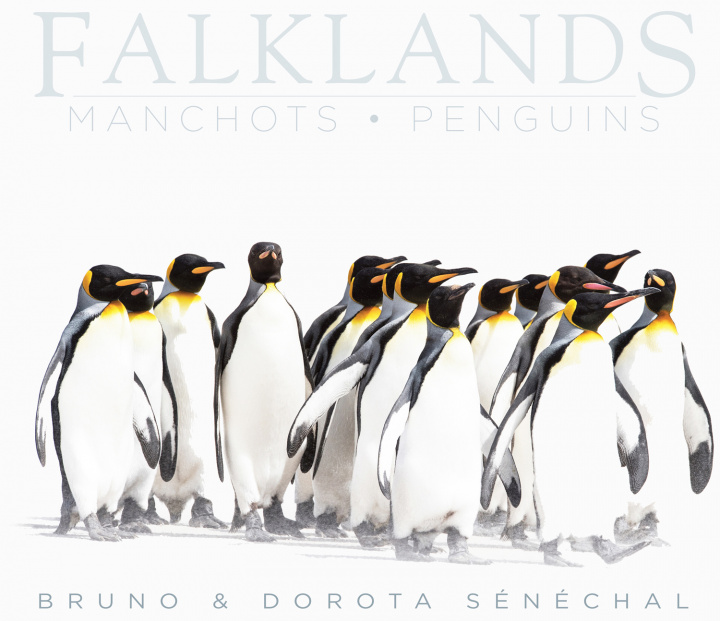 Книга FALKLANDS - MANCHOTS - PENGUINS Sénéchal