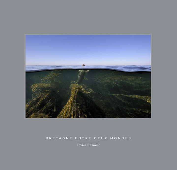 Knjiga Bretagne entre deux mondes Desmier