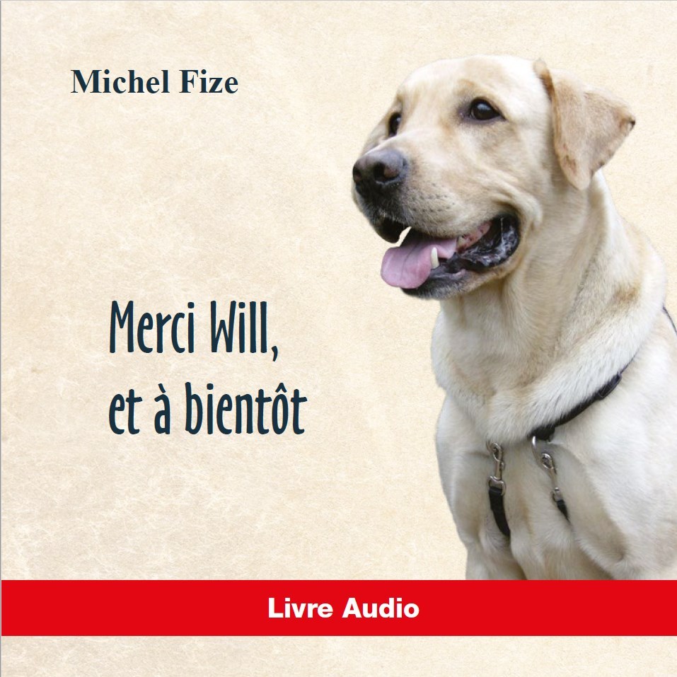 Digital Merci Will et à bientôt - CD Michel FIZE