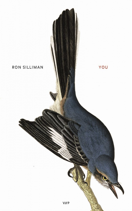 Knjiga You Silliman