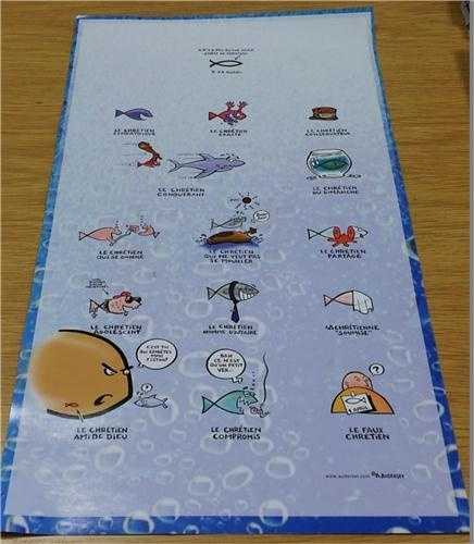 Buch Poster Ichtus AUDERSET ALAIN