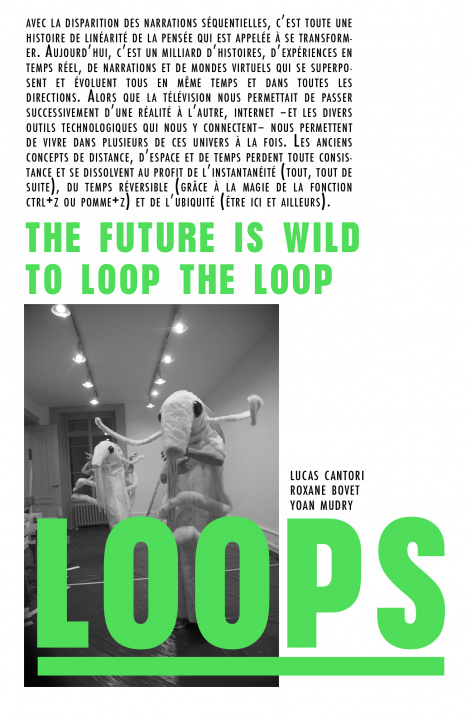 Książka Loops - The future is wild / To loop the loop Mudry