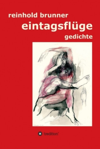 Livro eintagsflüge Judith Wagner