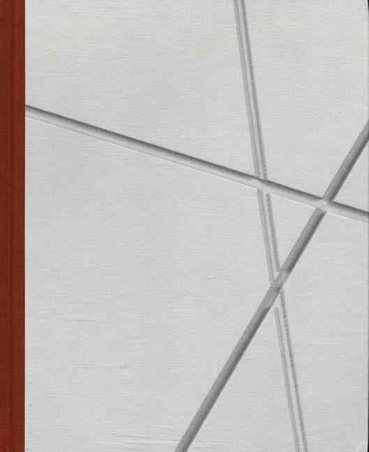 Knjiga Fred Sandback /anglais MALSCH