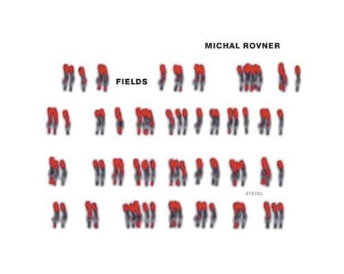 Könyv Michal Rovner Fields /anglais ROVNER MICHAL
