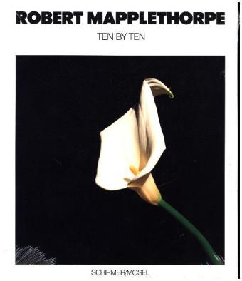 Knjiga ROBERT MAPPLETHORPE TEN BY TEN 