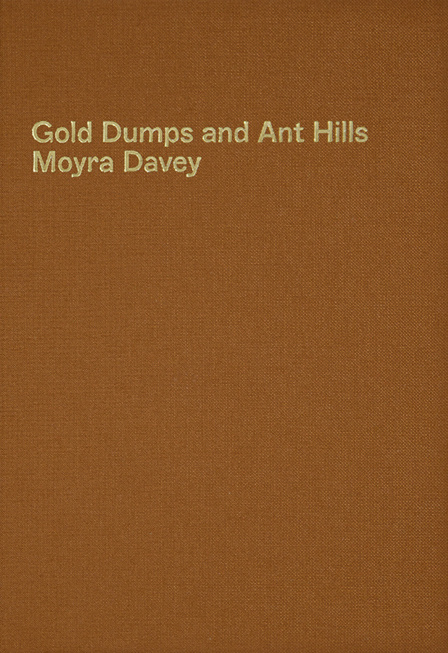 Kniha Gold Dumps and Ant Hills Davey