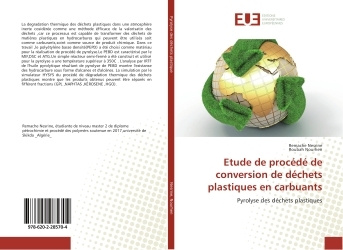 Kniha Etude de procede de conversion de dechets plastiques en carbuants Remache Nesrine