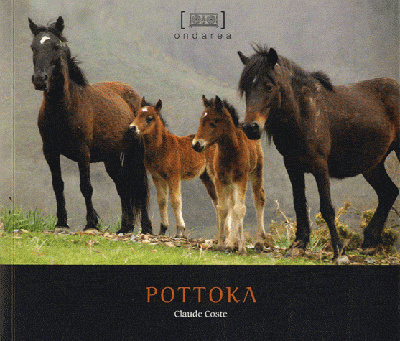 Knjiga POTTOKA COSTE