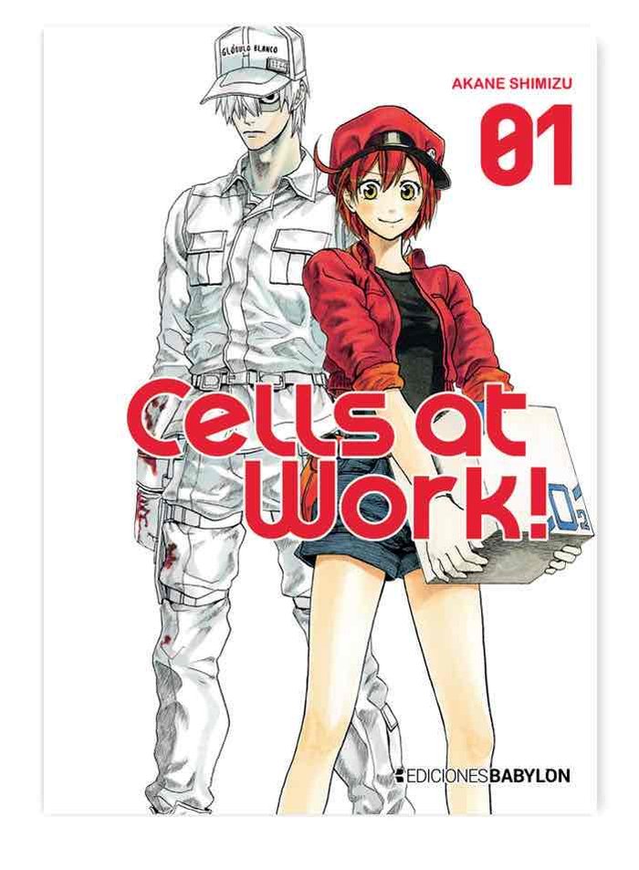 Książka CELLS AT WORK! 01 AKANE SHIMIZU