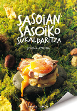 Könyv SASOIAN SASOIKO SUKALDARITZA AZPEITIA SALVADOR