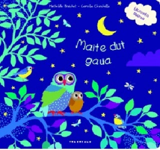 Boek MAITE DUT GAUA BRECHET