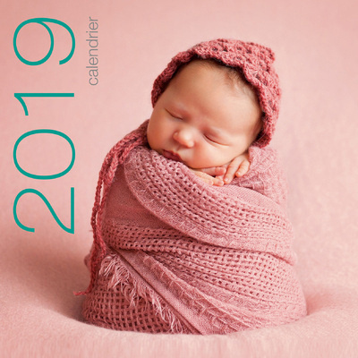 Buch Calendrier mural 2019 Bébés collegium