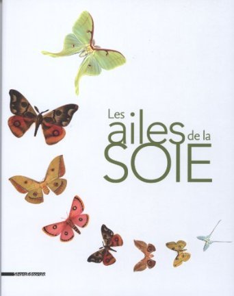 Knjiga Les ailes de la soie Clary