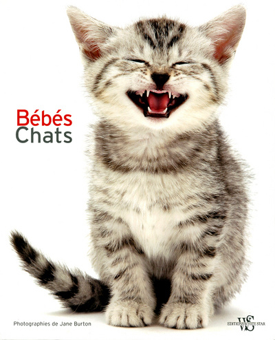 Βιβλίο Bébés chats Giorgio Ferrero
