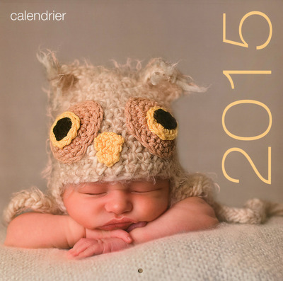 Knjiga Calendrier mural Bébés 2015 collegium