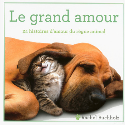 Buch Le grand amour Rachel Buchholz