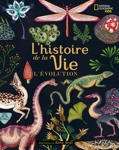 Kniha L'histoire de la vie - L'évolution Katie Scott