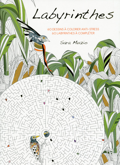 Kniha Labyrinthes - 60 dessins à colorier anti-stress Sara Muzio