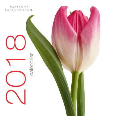 Boek Calendrier mural 2018 - Fleurs Fabio Petroni