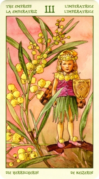 Játék Tarot l'Esprit des Fleurs L aura Tuan et Antonella Castelli