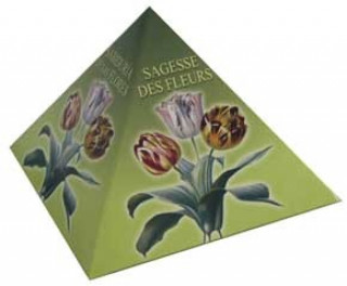Igra/Igrača Sagesse des Fleurs Donelli