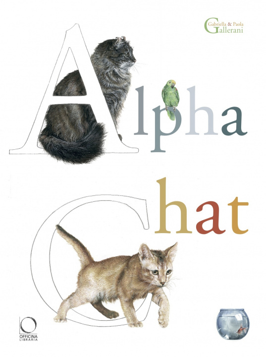 Buch ALPHACHAT GALLERANI GABRIELLA